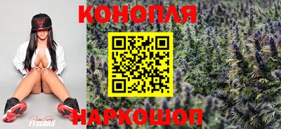 шишки Канаш