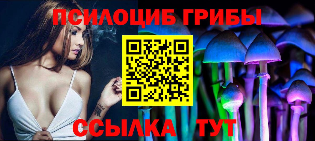 Псилоцибиновые грибы мицелий  Вход с VPN  Киселёвск 